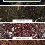 terrarium soil